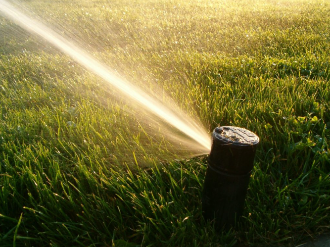 Summer Lawn Care